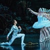 Swan Lake